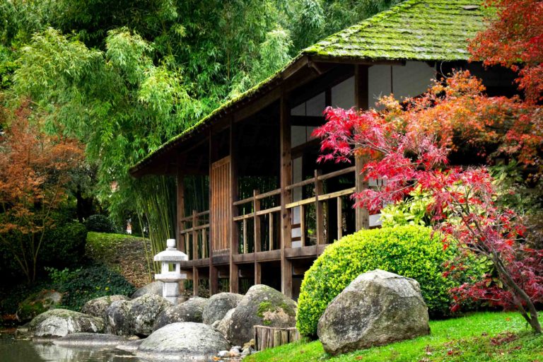 jardin japonais