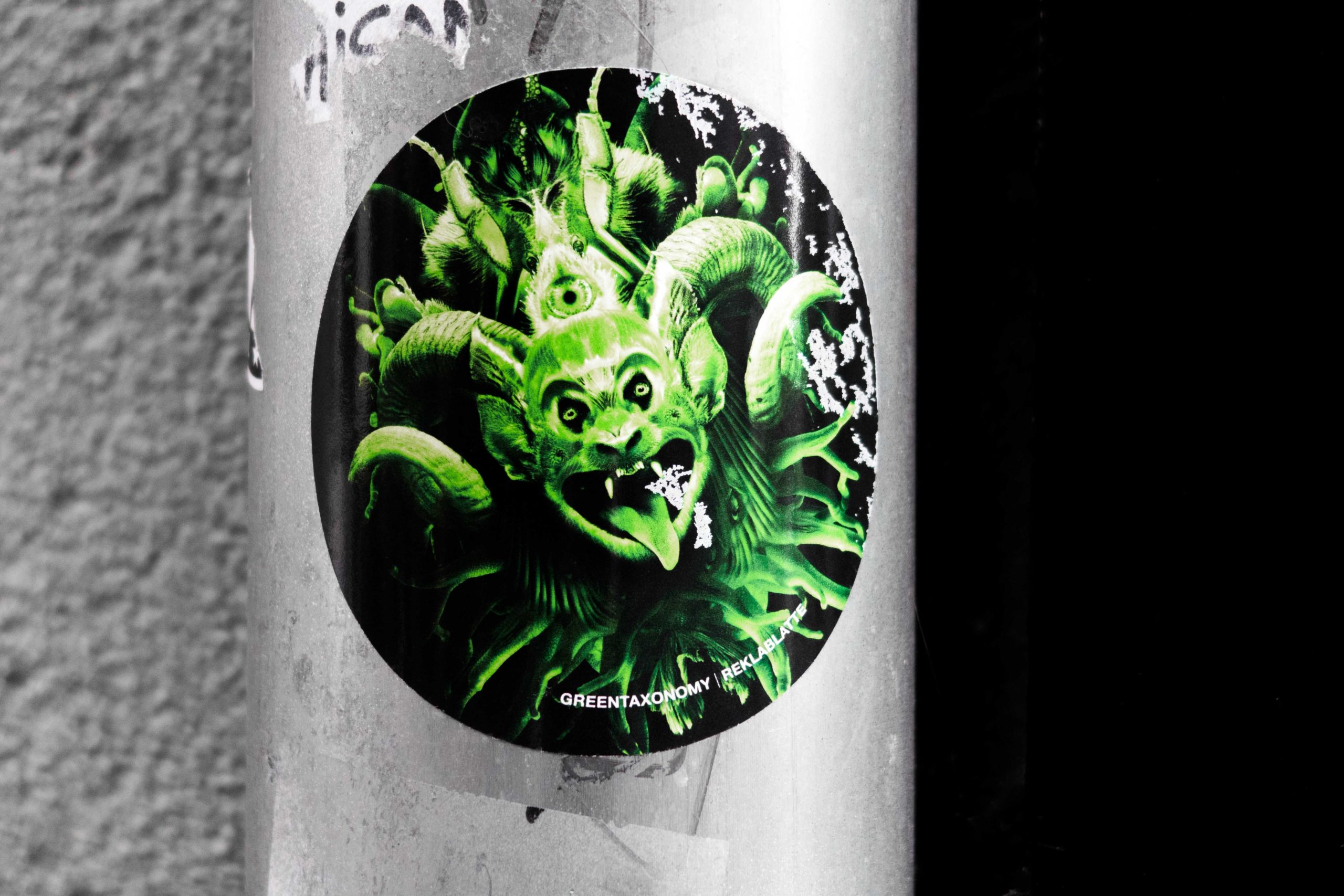 green taxonomy street art toulouse