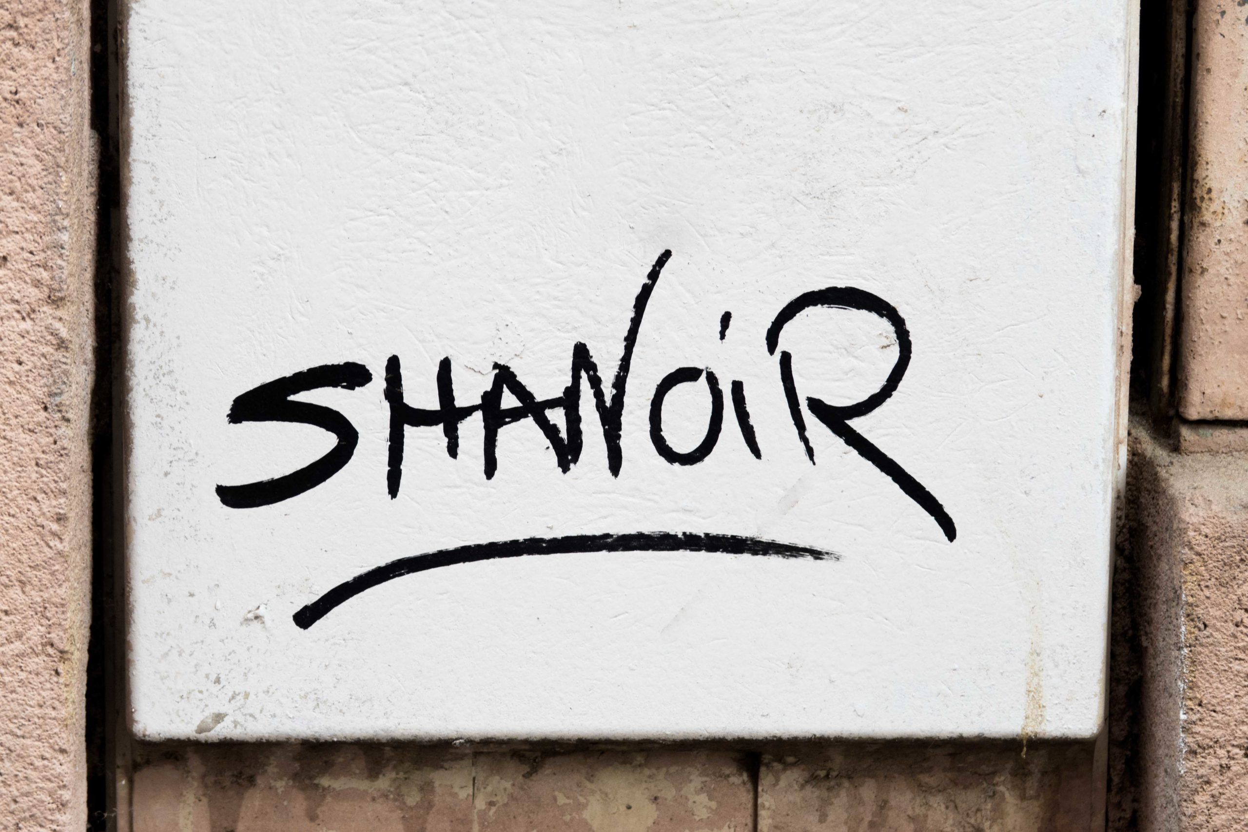 shanoir street art toulouse