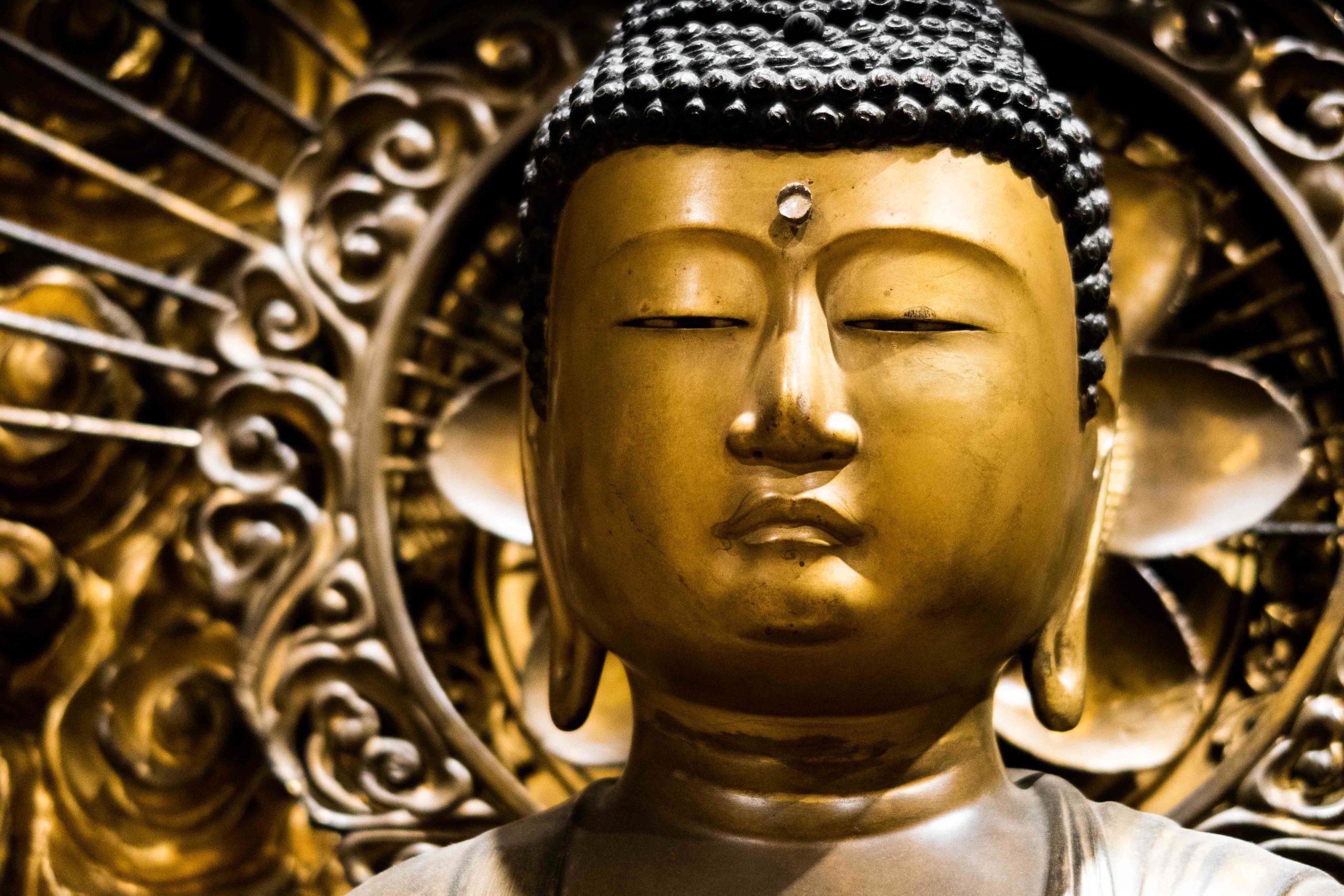 buddha amida musee georges labit toulouse