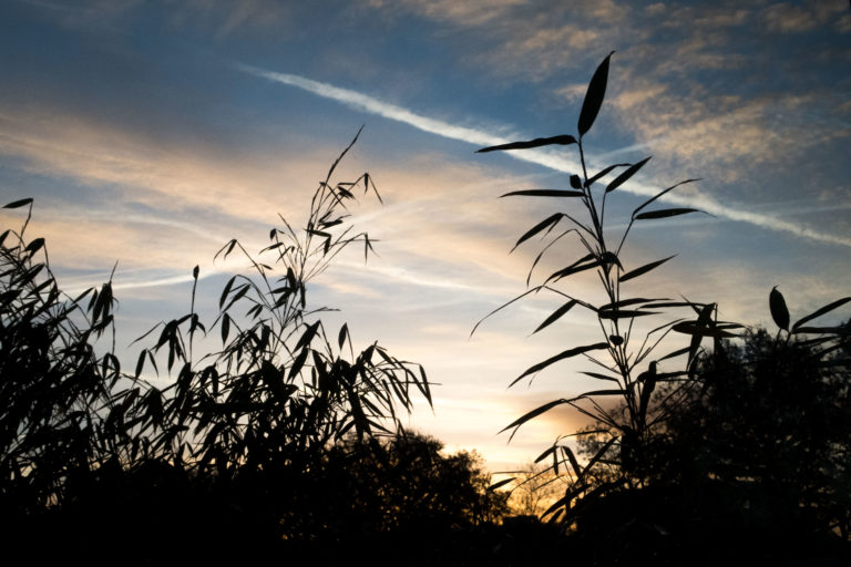 ciel toulouse