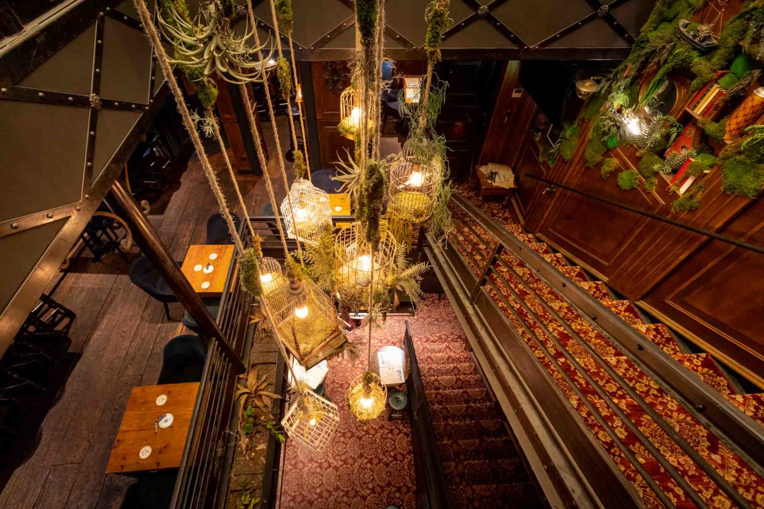 The Botanist Pub par Anthony Camarade