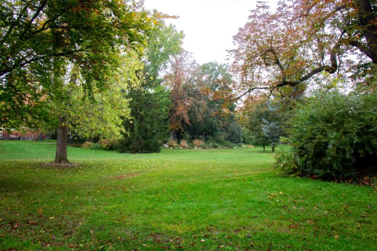 jardin des plantes