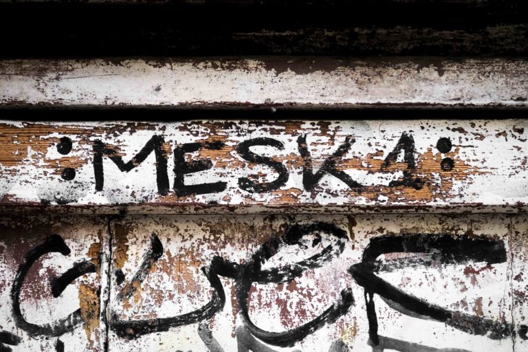 Mesk1